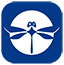 ng电子游戏